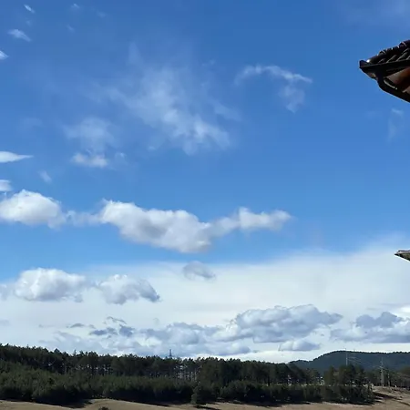 Afrodita 5 Apartman *